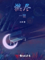 燃尽一半的红烛